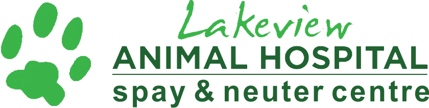Lakeview Animal Hospital